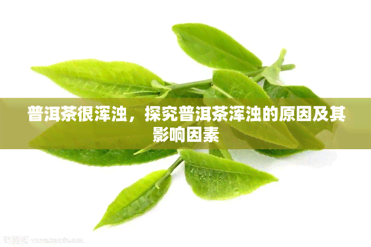 普洱茶很浑浊，探究普洱茶浑浊的原因及其影响因素