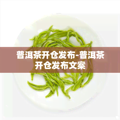 普洱茶开仓发布-普洱茶开仓发布文案