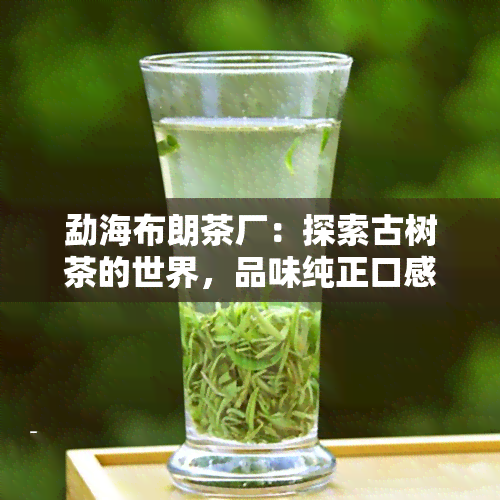 勐海布朗茶厂：探索古树茶的世界，品味纯正口感 - 