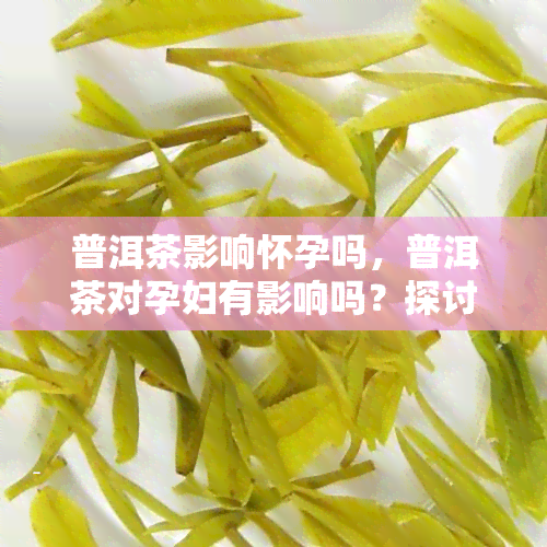 普洱茶影响怀孕吗，普洱茶对孕妇有影响吗？探讨其可能的利弊