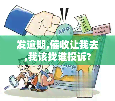 发逾期,让我去,我该找谁投诉?