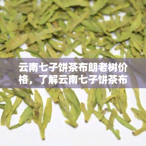 云南七子饼茶布朗老树价格，了解云南七子饼茶布朗老树的价格信息！