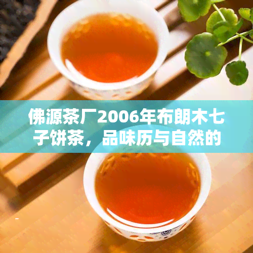 佛源茶厂2006年布朗木七子饼茶，品味历与自然的交融：佛源茶厂2006年布朗木七子饼茶