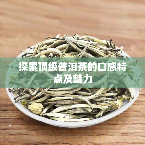 探索顶级普洱茶的口感特点及魅力