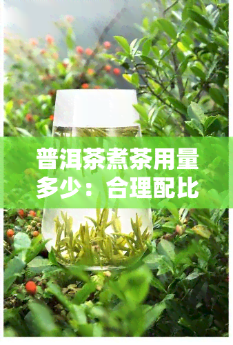 普洱茶煮茶用量多少：合理配比与口感探索