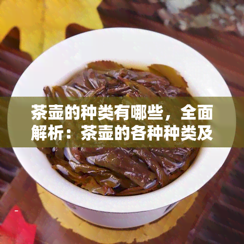 茶壶的种类有哪些，全面解析：茶壶的各种种类及其特点