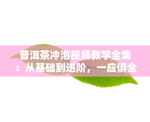 普洱茶冲泡视频教学全集：从基础到进阶，一应俱全！