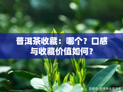 普洱茶收藏：哪个？口感与收藏价值如何？