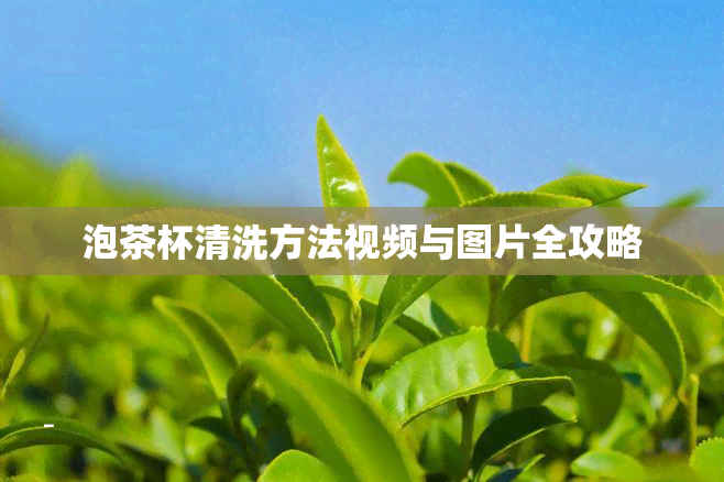 泡茶杯清洗方法视频与图片全攻略