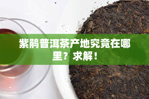 紫鹃普洱茶产地究竟在哪里？求解！