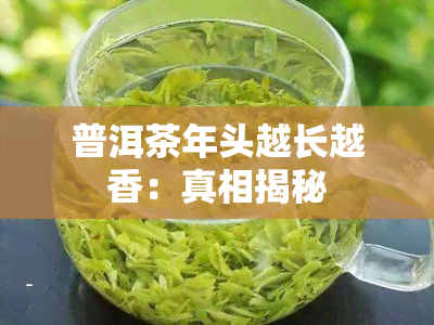 普洱茶年头越长越香：真相揭秘