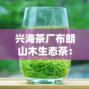 兴海茶厂布朗山木生态茶：2005、2006年布朗古树特制