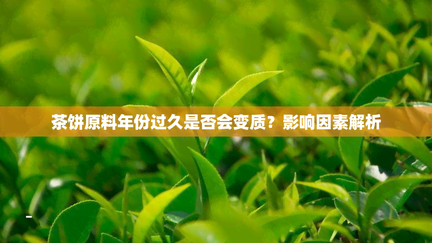 茶饼原料年份过久是否会变质？影响因素解析