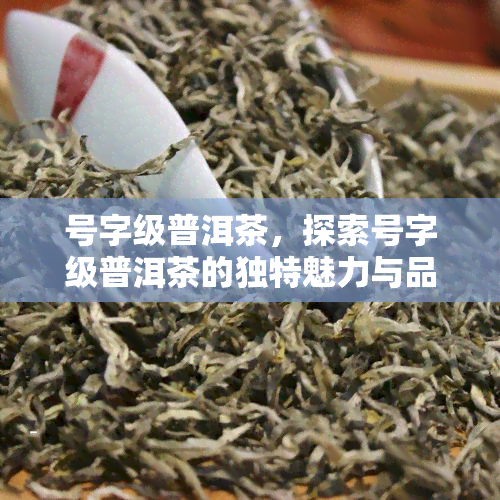 号字级普洱茶，探索号字级普洱茶的独特魅力与品鉴技巧