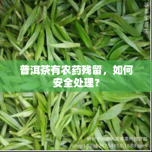 普洱茶有农残留，如何安全处理？