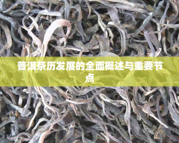 普洱茶历发展的全面概述与重要节点