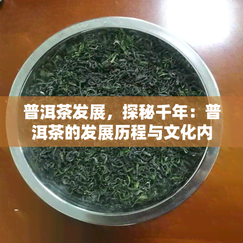 普洱茶发展，探秘千年：普洱茶的发展历程与文化内涵