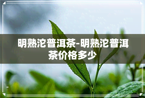 明熟沱普洱茶-明熟沱普洱茶价格多少