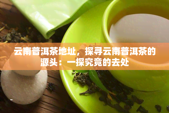 云南普洱茶地址，探寻云南普洱茶的源头：一探究竟的去处