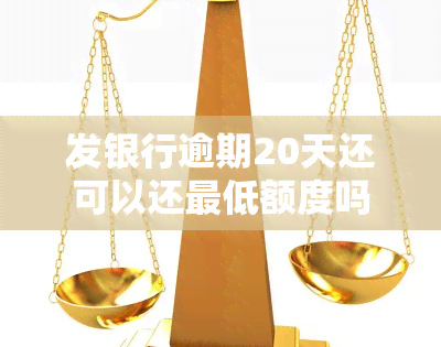 发银行逾期20天还可以还更低额度吗，发银行：信用卡逾期20天，是否可以仅还更低还款额？