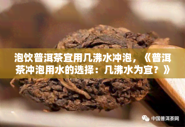 泡饮普洱茶宜用几沸水冲泡，《普洱茶冲泡用水的选择：几沸水为宜？》