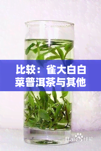 比较：雀大白白菜普洱茶与其他系列的区别与优劣