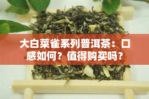 大白菜雀系列普洱茶：口感如何？值得购买吗？