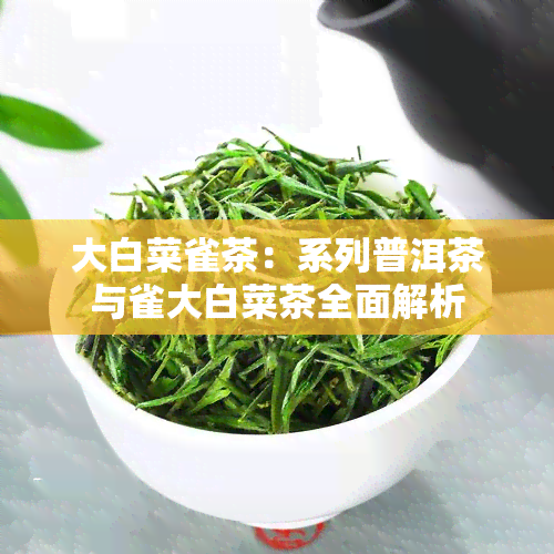 大白菜雀茶：系列普洱茶与雀大白菜茶全面解析