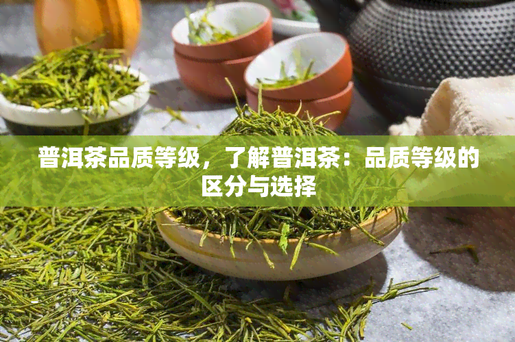 普洱茶品质等级，了解普洱茶：品质等级的区分与选择