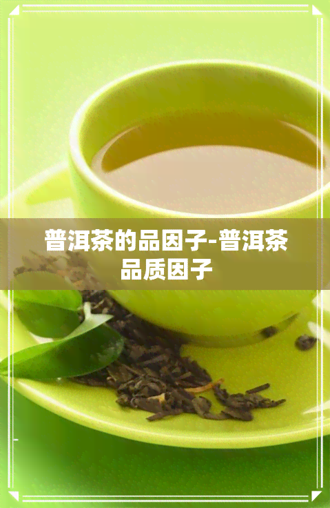 普洱茶的品因子-普洱茶品质因子