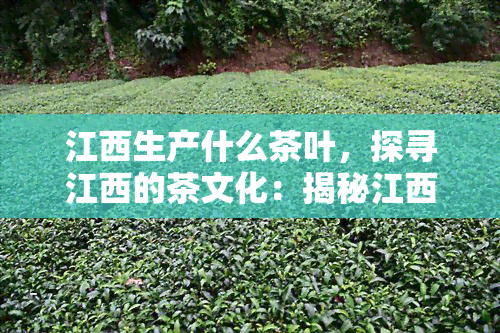 江西生产什么茶叶，探寻江西的茶文化：揭秘江西主要茶叶品种和产地