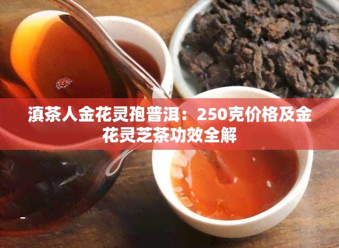 滇茶人金花灵孢普洱：250克价格及金花灵芝茶功效全解