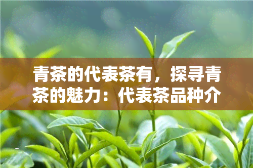 青茶的代表茶有，探寻青茶的魅力：代表茶品种介绍