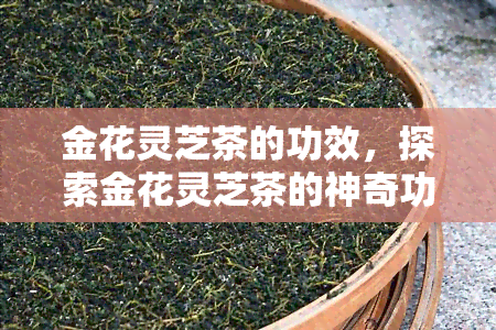 金花灵芝茶的功效，探索金花灵芝茶的神奇功效，为你带来健与活力