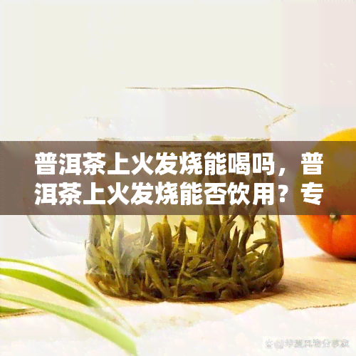 普洱茶上火发烧能喝吗，普洱茶上火发烧能否饮用？专家解读