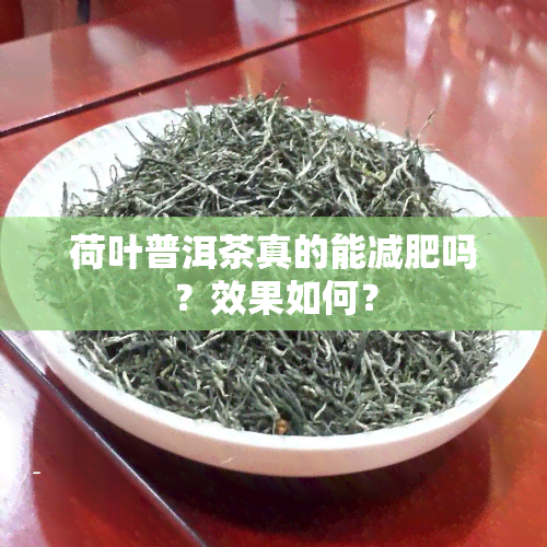 荷叶普洱茶真的能减肥吗？效果如何？