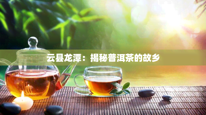 云县龙潭：揭秘普洱茶的故乡