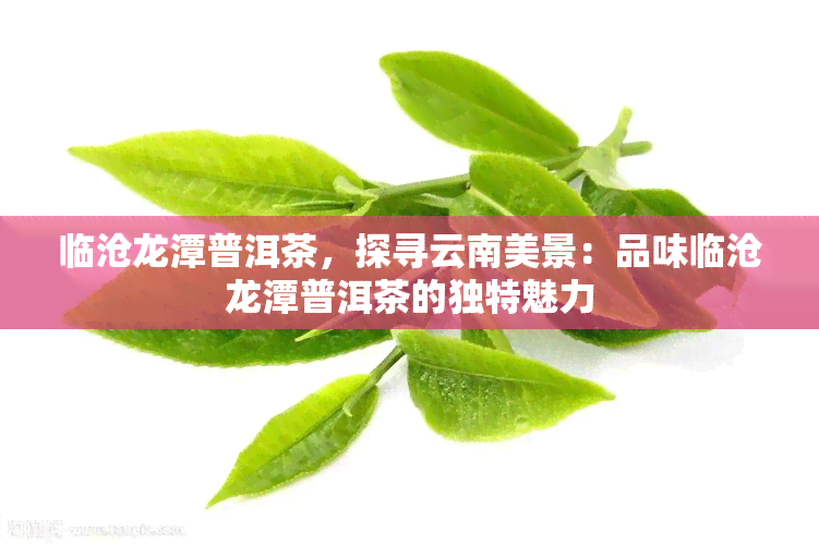 临沧龙潭普洱茶，探寻云南美景：品味临沧龙潭普洱茶的独特魅力