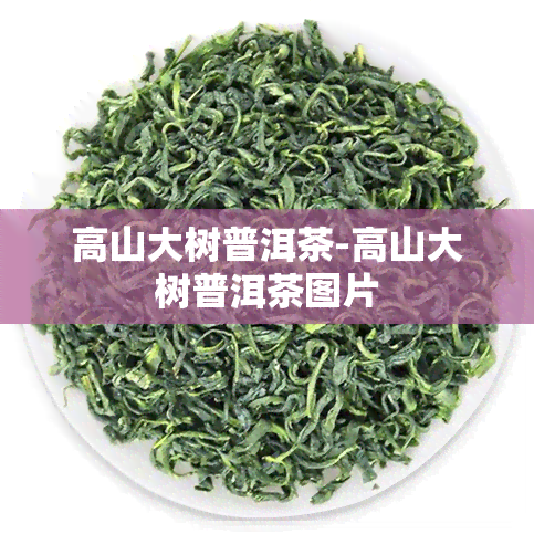 高山大树普洱茶-高山大树普洱茶图片