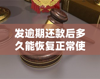 发逾期还款后多久能恢复正常使用？包括额度和功能