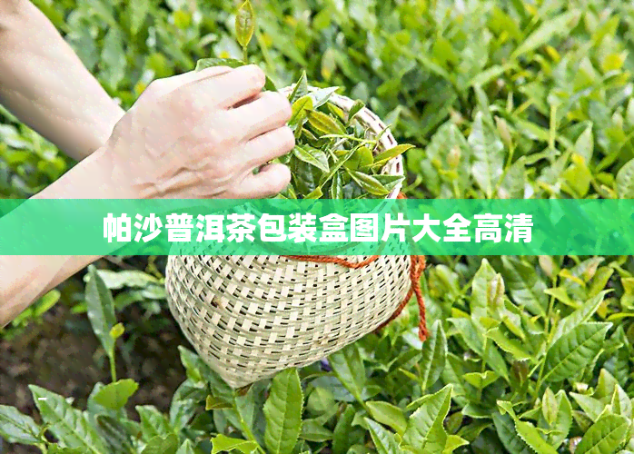 帕沙普洱茶包装盒图片大全高清