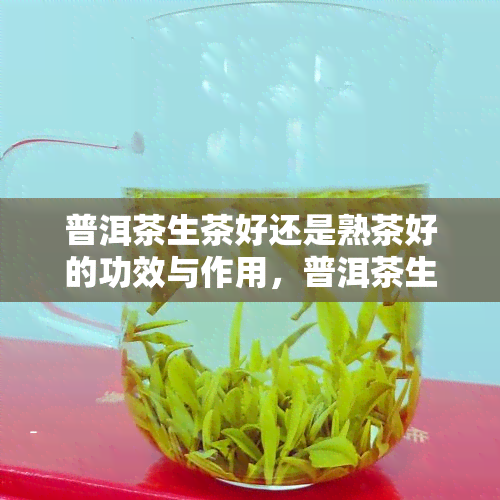 普洱茶生茶好还是熟茶好的功效与作用，普洱茶生茶与熟茶：哪一种的效果更好？