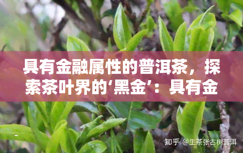 具有金融属性的普洱茶，探索茶叶界的‘黑金’：具有金融属性的普洱茶解析