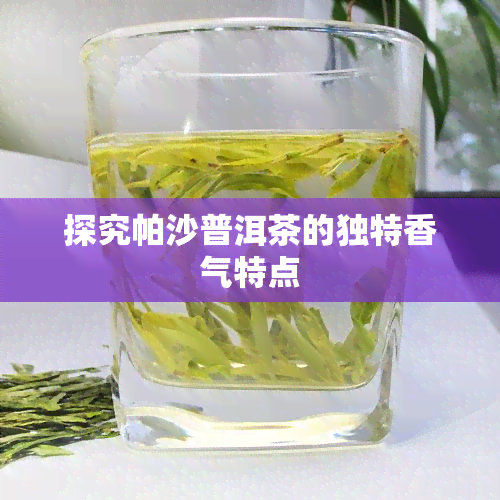 探究帕沙普洱茶的独特香气特点