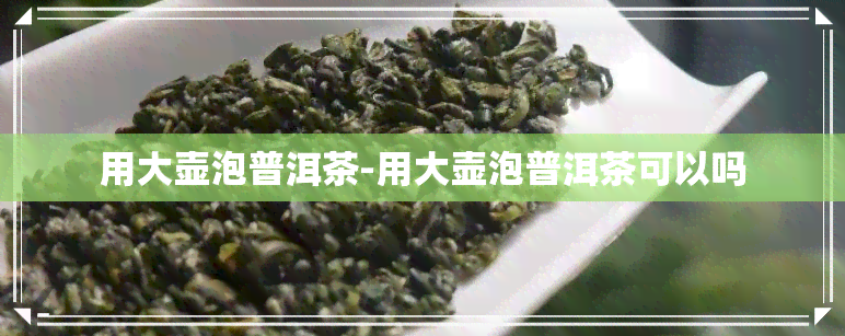 用大壶泡普洱茶-用大壶泡普洱茶可以吗