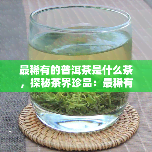 最稀有的普洱茶是什么茶，探秘茶界珍品：最稀有的普洱茶是哪种？