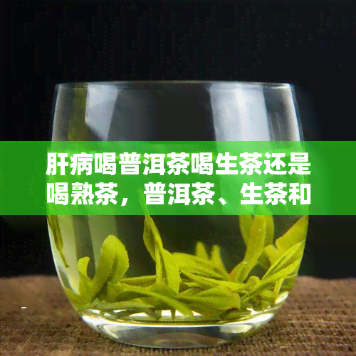 肝病喝普洱茶喝生茶还是喝熟茶，普洱茶、生茶和熟茶对肝病的影响：该喝哪种？