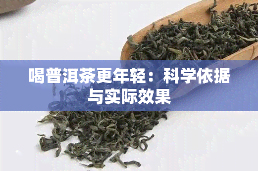 喝普洱茶更年轻：科学依据与实际效果