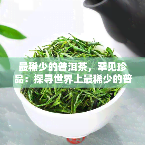 最稀少的普洱茶，罕见珍品：探寻世界上最稀少的普洱茶