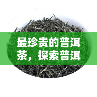 最珍贵的普洱茶，探索普洱茶的世界：揭秘最珍贵的品种